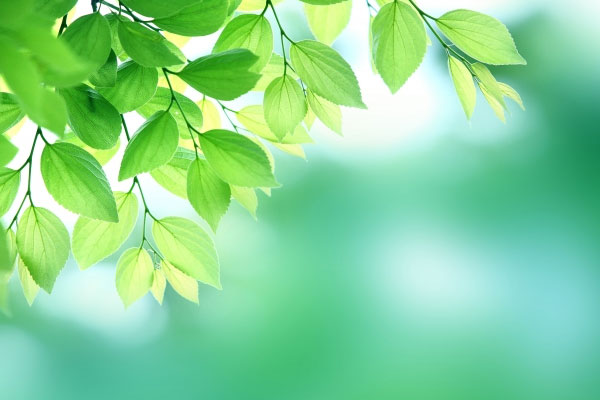 郡山･須賀川･白河地域を中心に福島県の経営者様と共に、10年後の会社の未来を築きます。 社会保険労務士法人ケーネット 労災保険の事業主特別加入